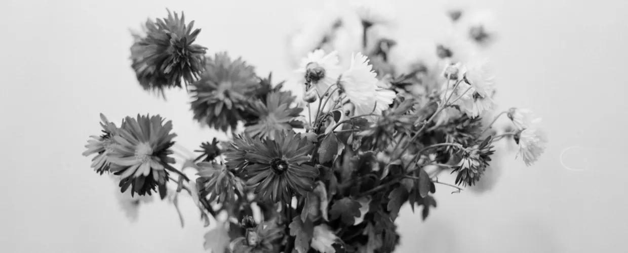 Landscape image article 21