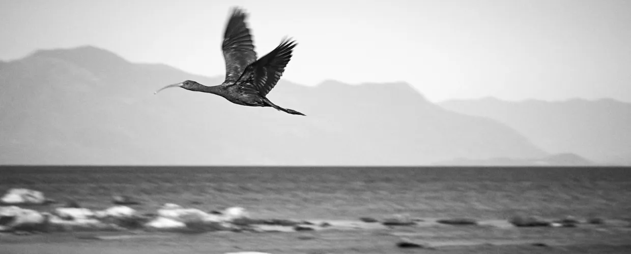 Landscape image article 33