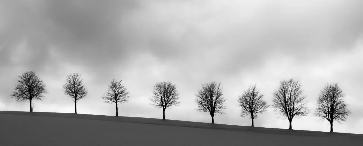 Evgenit minimalism 7947646 1920