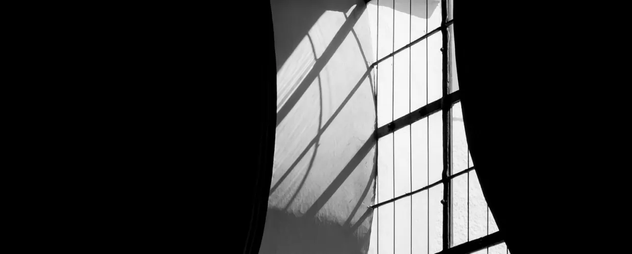 Analogicus window 8332729 1920