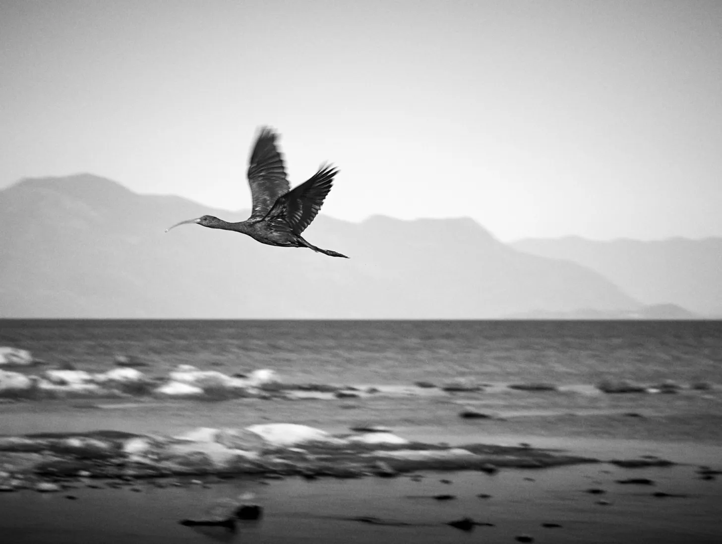 Landscape image article 33