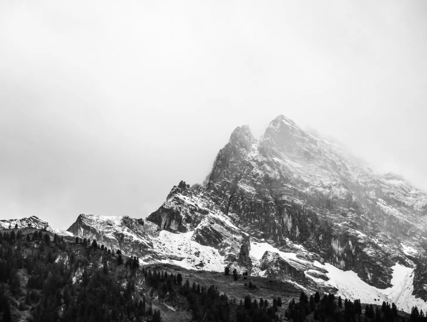 Landscape image article 5