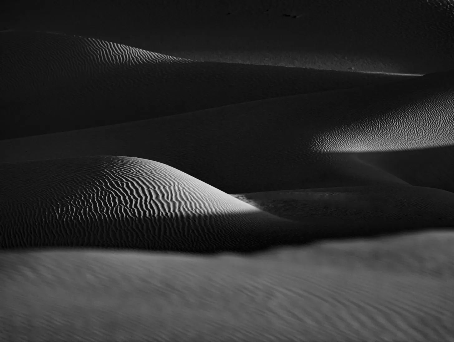 Landscape image article 6