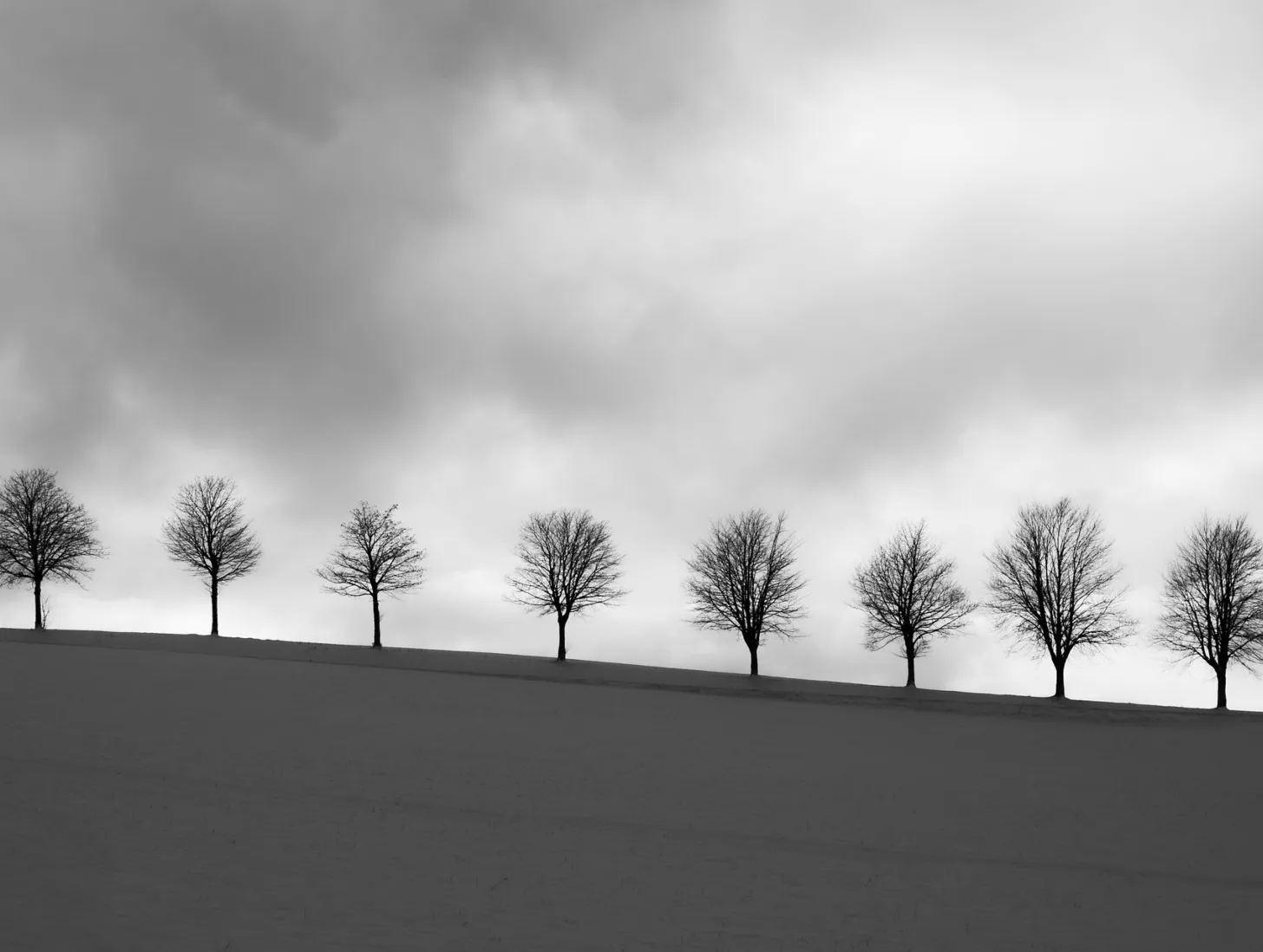 Evgenit minimalism 7947646 1920