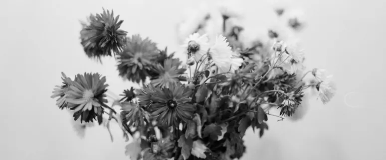 Landscape image article 21