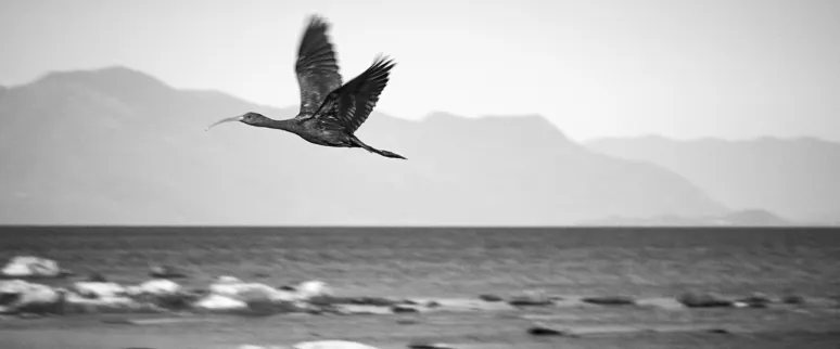 Landscape image article 33