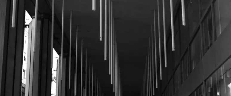 Landscape image article 14