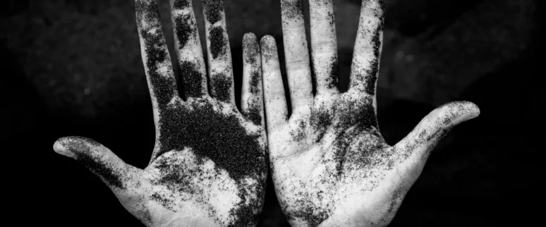 Landscape image article 36