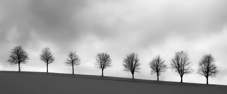 Evgenit minimalism 7947646 1920