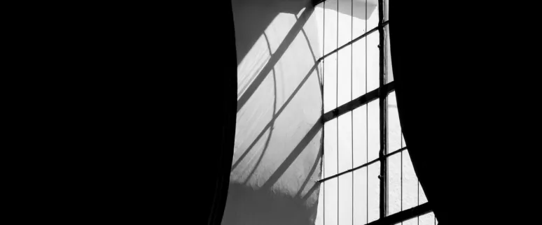 Analogicus window 8332729 1920