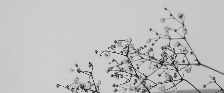 Mathilde langevin 8o9 BX Nht2 E unsplash