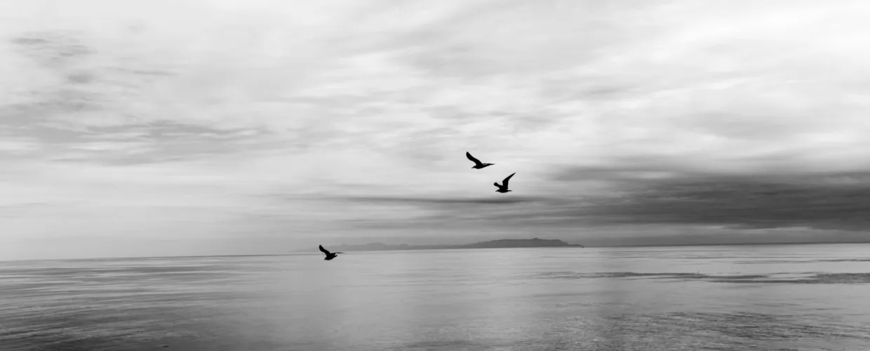 Bethany beck Z Wcccmqt Ykw unsplash