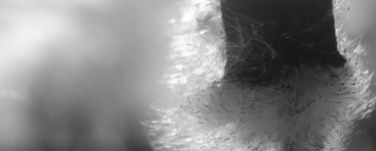 Stpn bkv 6 V1aa Vo A0i8 unsplash