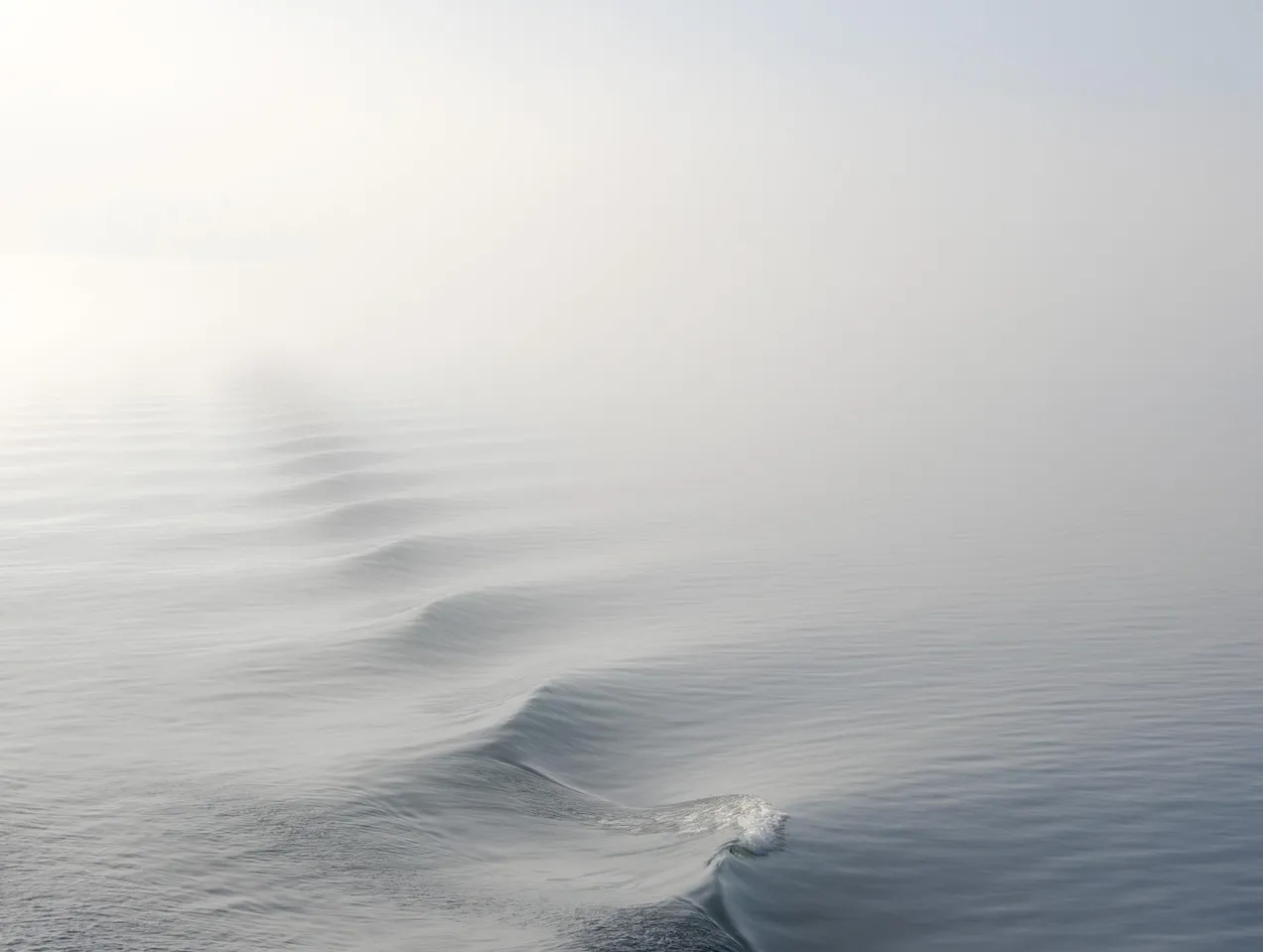Pexels fog 1868416 1920