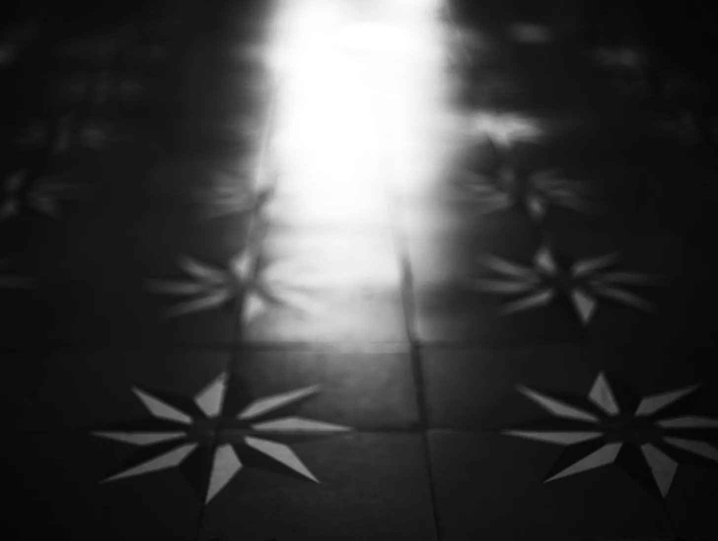 Liana s Inc R55gb I0g unsplash