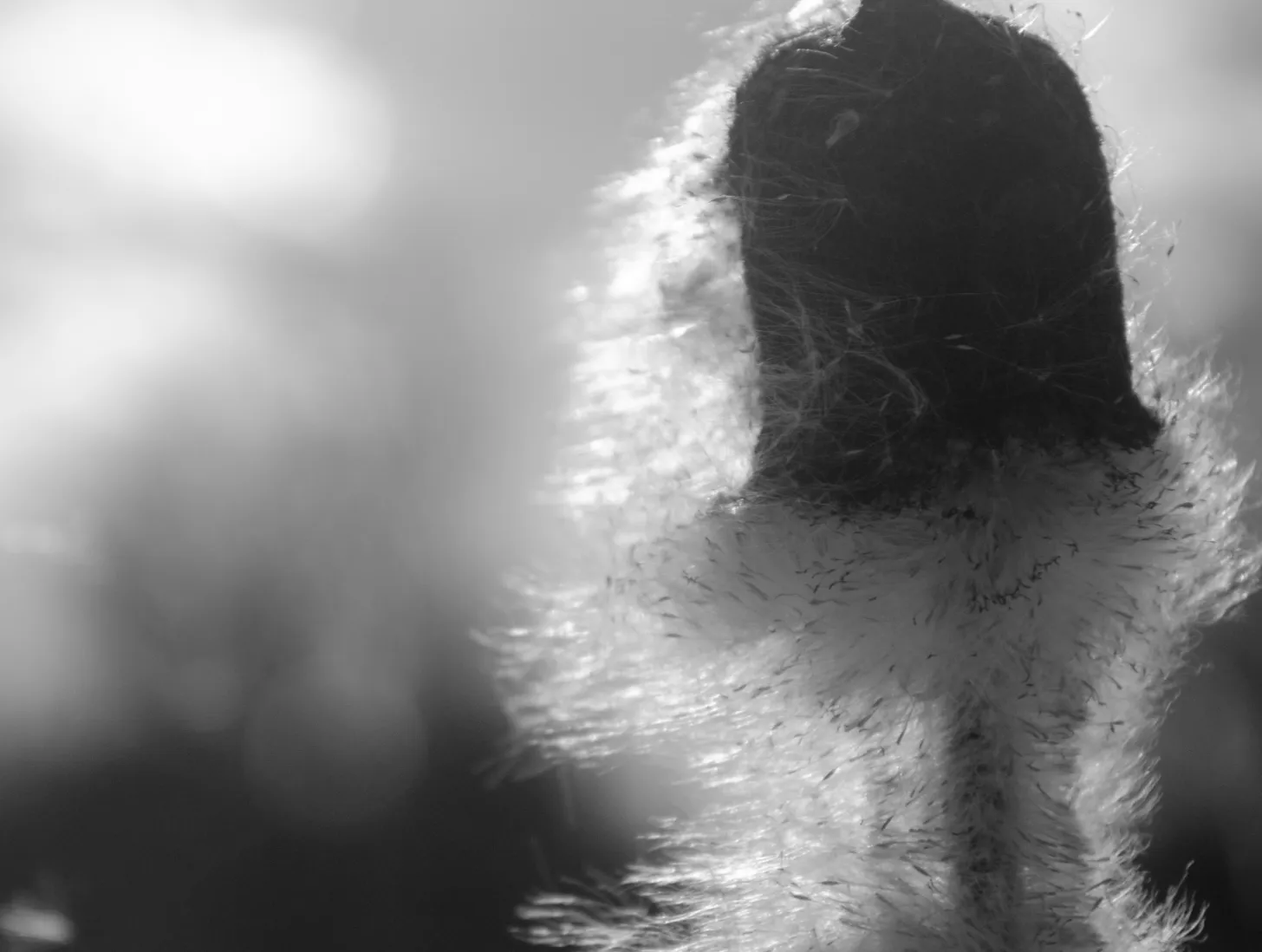 Stpn bkv 6 V1aa Vo A0i8 unsplash