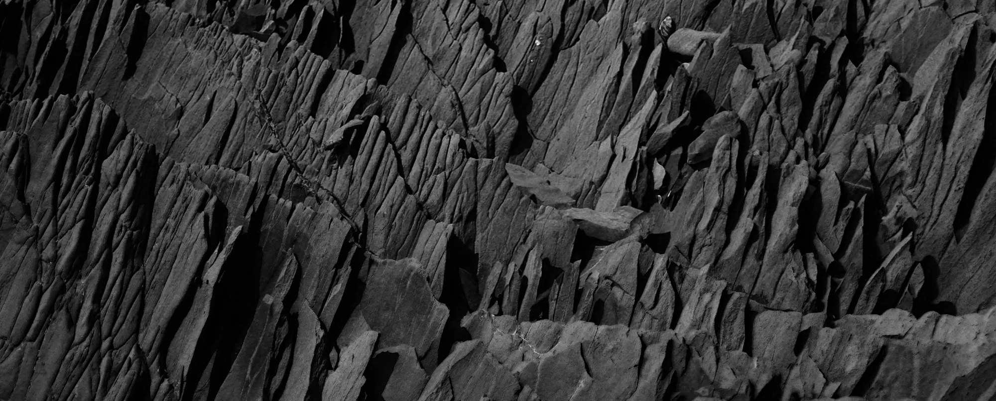 Landscape image article 20