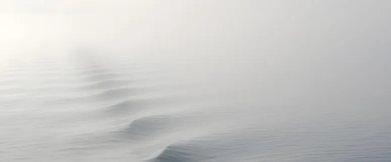 Pexels fog 1868416 1920